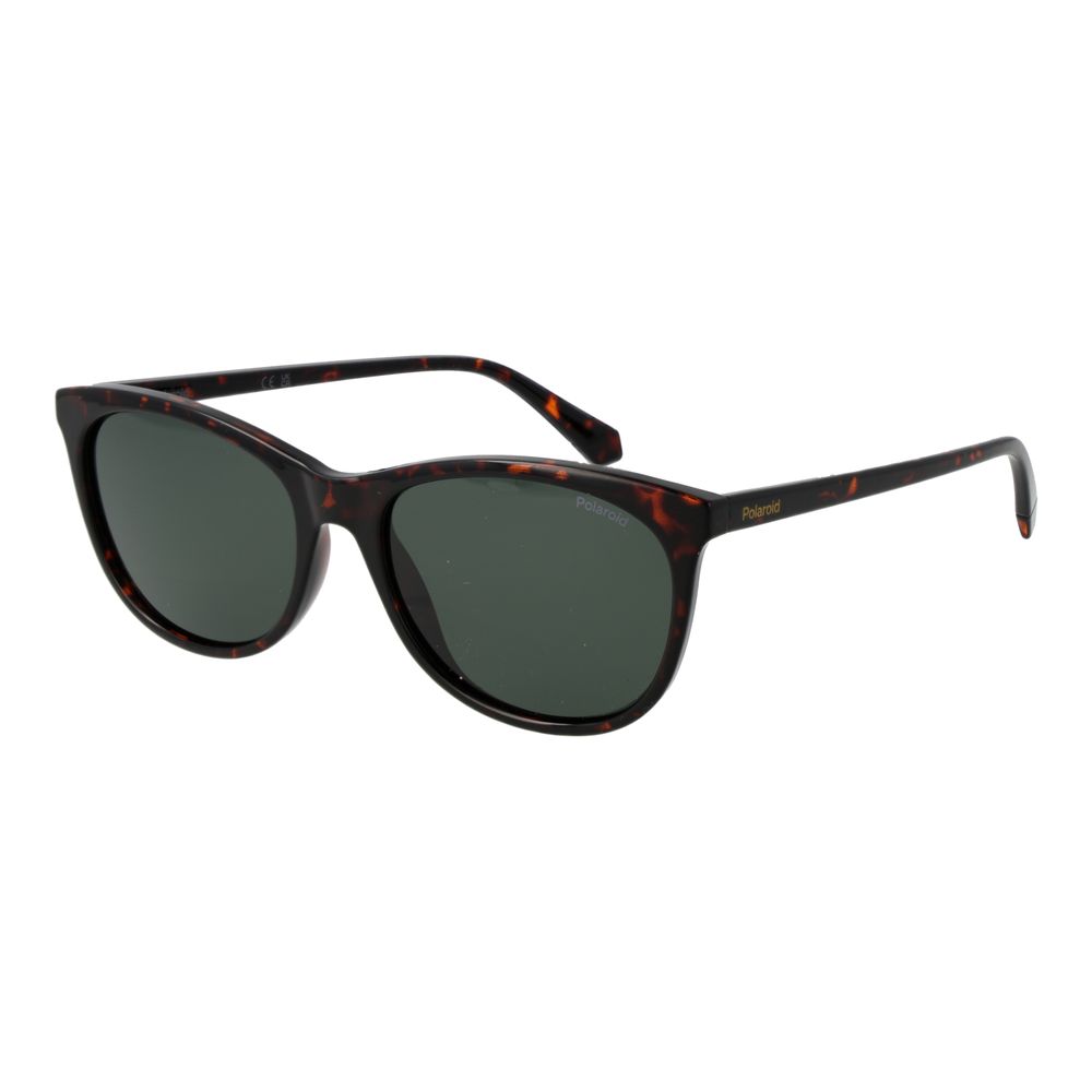 Brown Plastic Sunglasses
