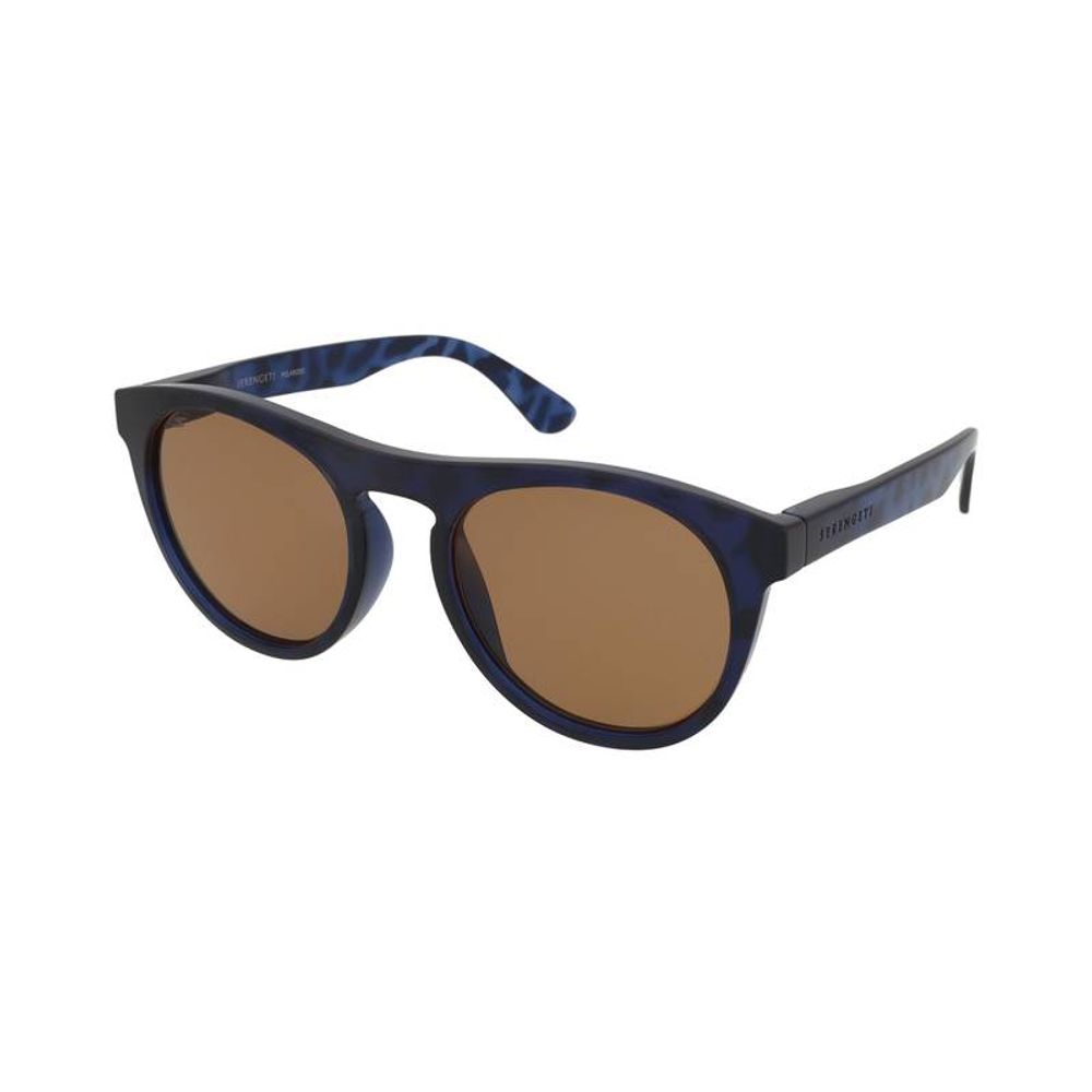 Blue Resin Sunglasses