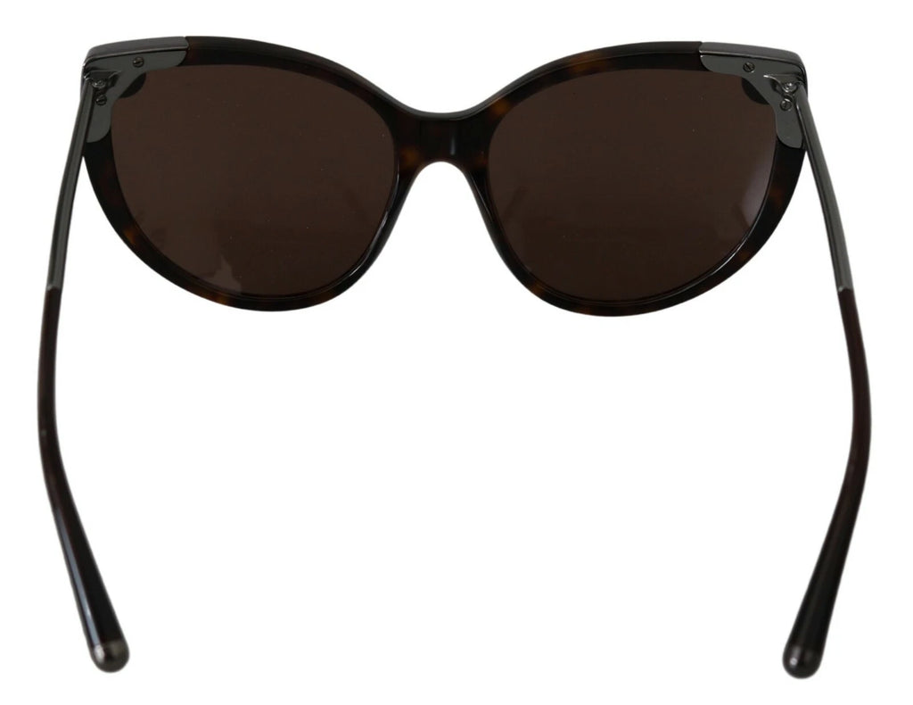 DG4337 Dark Havana Cat Eye Women Eyewear Sunglasses