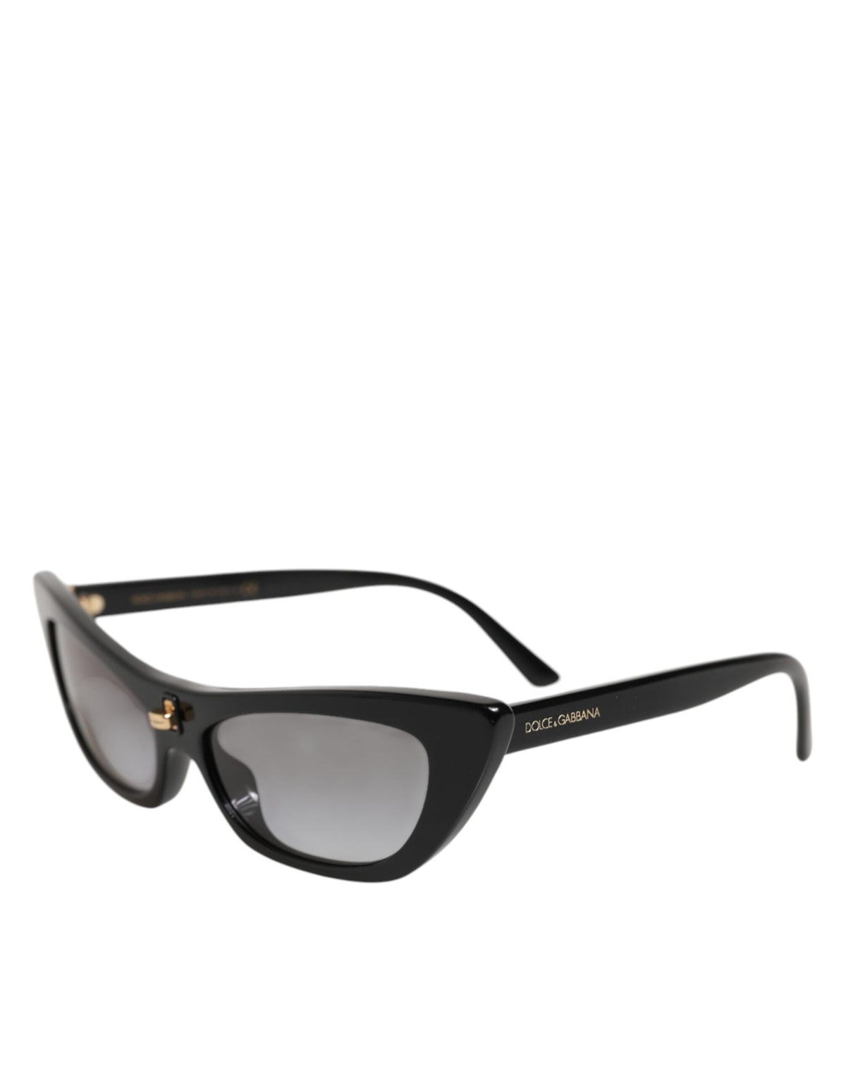 Black Re-Edition DNA Cat-Eye Frame Sunglasses